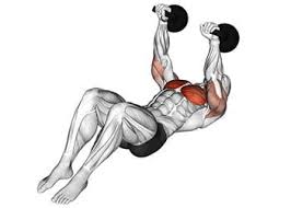 entrainement pectoraux