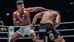 entrainement mma